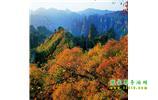 長沙往返張家界、天子山、寶峰湖/黃龍洞三日游