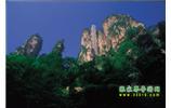 網(wǎng)絡熱門純玩游：張家界、天子山、袁家界、楊家界 自助三日游