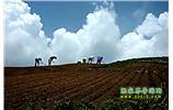 張家界、天子山、寶峰湖/黃龍洞、鳳凰古城、德夯大峽谷 苗族風(fēng)情五日游