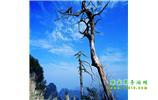 湘西之旅：張家界、天子山、寶峰湖/黃龍洞、鳳凰古城、猛洞河漂流、天門(mén)山六日游