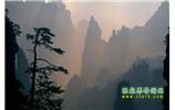 張家界國家森林公園、寶峰湖/黃龍洞、鳳凰古城、三峽八日游