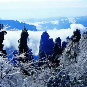 LD線：張家界、天子山、楊家界、猛洞河漂流純玩四日游