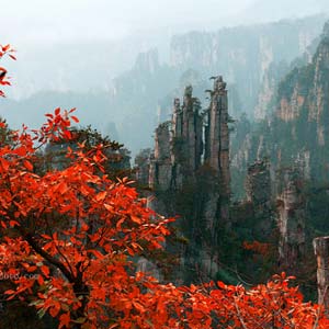 休閑自駕E線：張家界、袁家界、天子山、寶峰湖、鳳凰古城、沱江泛舟四晚五日游